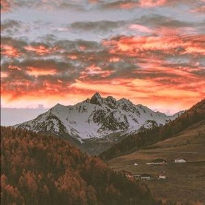 Meet your Posher, Daniela